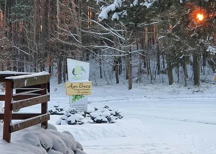 Agro Breza Dom Z Kominkiem 80 Metrow Od Jeziora - Sauna, Balia Ogrodowa Lipusz